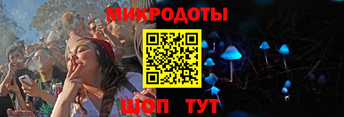 Галлюциногенные грибы Cubensis Мурино