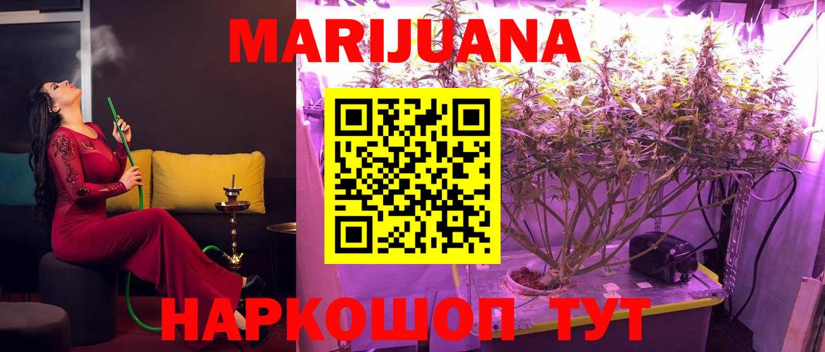 Конопля семена Мурино